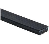 Cinghia poly-V GATES 3PK576SF per DS DS 3 (SA_) 1.2 2015-2019
