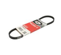 Cinghia Poly-V GATES 3PK628
