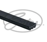 Gates Nessuna Descrizione 3Pk640