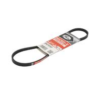 Cinghia Poly-V GATES 3PK751SF