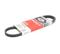 Cinghia Poly-V GATES 3PK905