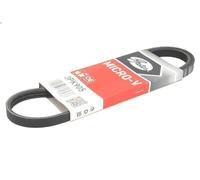 Cinghia Poly-V GATES 3PK905