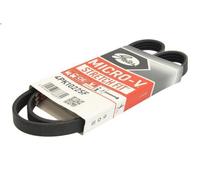 Cinghia poly-V GATES 4PK1022SF per FIAT PALIO (178_, 171_, 371_) 1.3 2003-2012