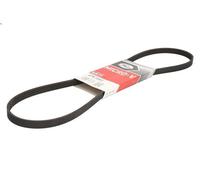 Cinghia poly-V GATES 4PK1083 per JAGUAR XJ Coupé 6 1993-1996