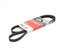 Cinghia Poly-V GATES 4PK1313 per DODGE NEON II 2 1999-2005