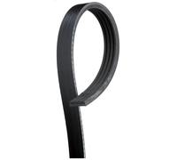 GATES 4PK1680 Cinghia servizi