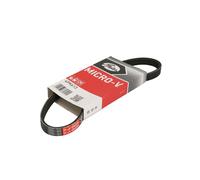 Cinghia Poly-V GATES 4PK613