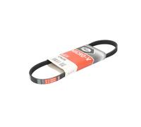 Cinghia Dei Servizi E Accessori Gates 4pk698