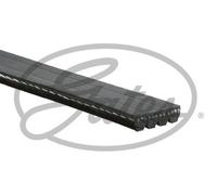 GATES Chingia Micro-V 4PK750