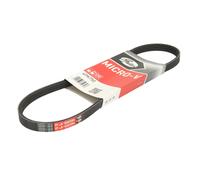 GATES Chingia Micro-V 4PK750