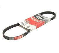 Cinghia Poly-V GATES 4PK750 per KIA PICANTO I (SA) 1 2004-2011