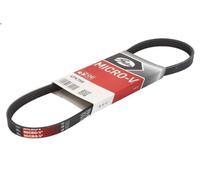 Cinghia poly-V GATES 4PK788 per FSO MATIZ 0.8 2000-2005