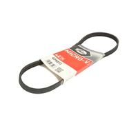 Cinghia Poly-V GATES 4PK813