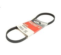 Cinghia poly-V GATES 4PK813 per GEO METRO 1.3 1989-1998