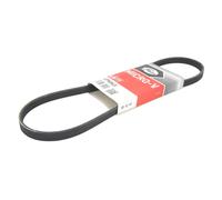 Cinghia Poly-V GATES 4PK845