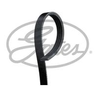 Gates Cinghia Poly-V 4PK845 Micro-V compatibile con BMW, Daihatsu, Honda, Isuzu, Mazda, Nissan