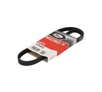 Gates Cinghia Poly-V 4PK855 – Cinghia servizi Micro-V per Audi, BMW e Citroën