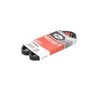 Cinghia Poly-V GATES 4PK885