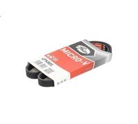 Cinghia poly-V GATES 4PK885 per BMW 3 (E46) 3 2003-2005