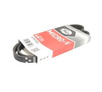 Cinghia Poly-V GATES 4PK905
