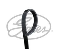 Cinghia Poly V Gates 4PK916-890SF Micro-v® Stretch Fit® per Lada Renault Dacia