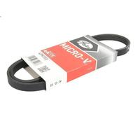 Cinghia poly-V GATES 4PK955 per FSO MATIZ 1 2000-2005