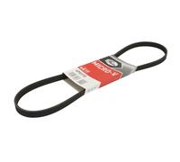 Cinghia trapezoidale multirighe 4PK970 GATES per PEUGEOT CHRYSLER MITSUBISHI KIA