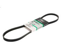 Cinghia poly-V GATES 4PK995HD per SETRA Series 400 7.698 2013-