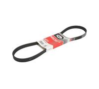 Gates Alfa Romeo Gtv (916C_) Spider (916S_) Bmw 5 (E39) 5Pk1005