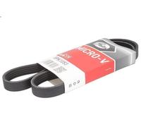 Cinghia poly-V GATES 5PK1053 per FIAT TIPO (160_) 2 1990-1992