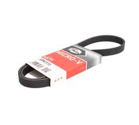 Cinghia Poly-V GATES 5PK1113