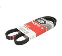 Cinghia poly-V GATES 5PK1123 per BMW 3 (E36) 3 1994-1995
