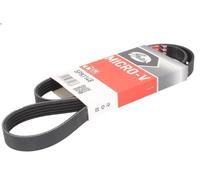 Cinghia poly-V GATES 5PK1148 per MG ZS 1.6 2003-2005