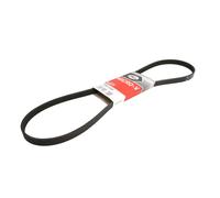 Cinghia trapezoidale multirighe 5PK1248 GATES per HYUNDAI i10 II