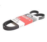 Cinghia poly-V GATES 5PK1255 per CITROEN ZX (N2) 1.1 1991-1993