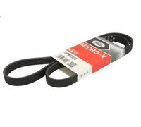Cinghia Poly-V GATES 5PK1303