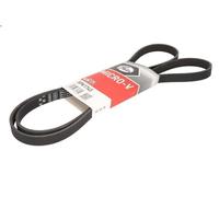 Cinghia poly-V GATES 5PK1745 per HYUNDAI MATRIX (FC) 1.5 2004-2010