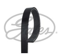 Cinghia Poly-V - GATES 5PK1858