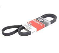 Cinghia Poly-V GATES 5PK2030 per MG MG ZT 2 2002-2003