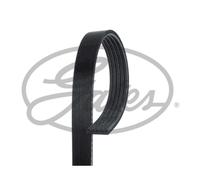 Cinghia Poly V Gates 5PK748SF Micro-v® Stretch Fit® per Fiat
