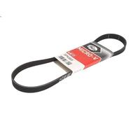 Cinghia poly-V GATES 5PK865 per BMW 3 (E46) 2 1998-2000