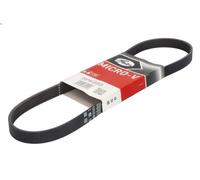 Cinghia poly-V GATES 5PK885 PORSCHE 928 4.7 1983-1986