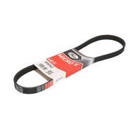 Cinghia Poly-V GATES 5PK903