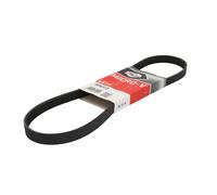 Cinghia Poly-V GATES 5PK923