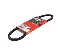 Gates Cinghia 6206MC – Scanalata (Poly‑V) per FIAT, RENAULT, VW