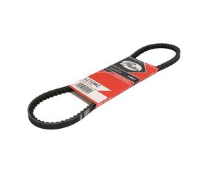 Cinghia Poly-V GATES 6210MC