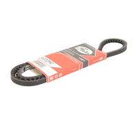 Cinghia Poly-V GATES 6222MC