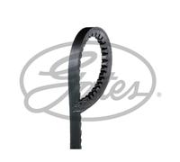 Cinghia Poly-V GATES 6224MC