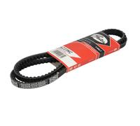 Cinghia trapezoidale GATES 6231MC