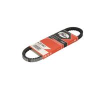 Cinghia Poly-V GATES 6301MC